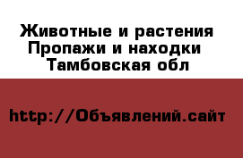 Животные и растения Пропажи и находки. Тамбовская обл.